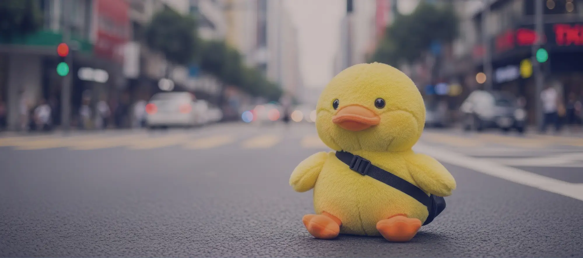 Duck stuffed animal lost on a city street.