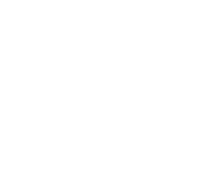 Duck graphic