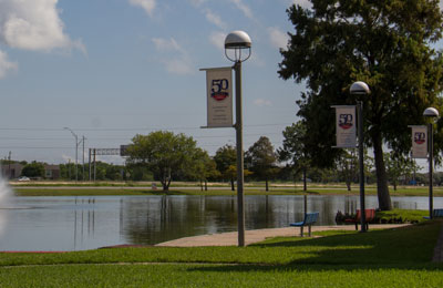 COM's lake