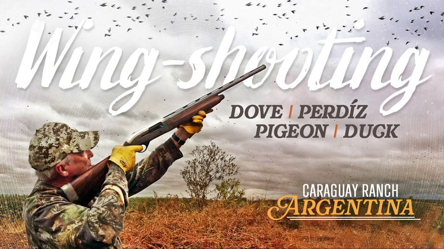 Wing Shooting